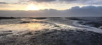 Water, mudflats and forest all in the immediate vicinity and just a few steps away