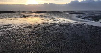 Wasser, Watt und Wald alles in unmittelbarer Nähe und mit nur wenigen Schritten