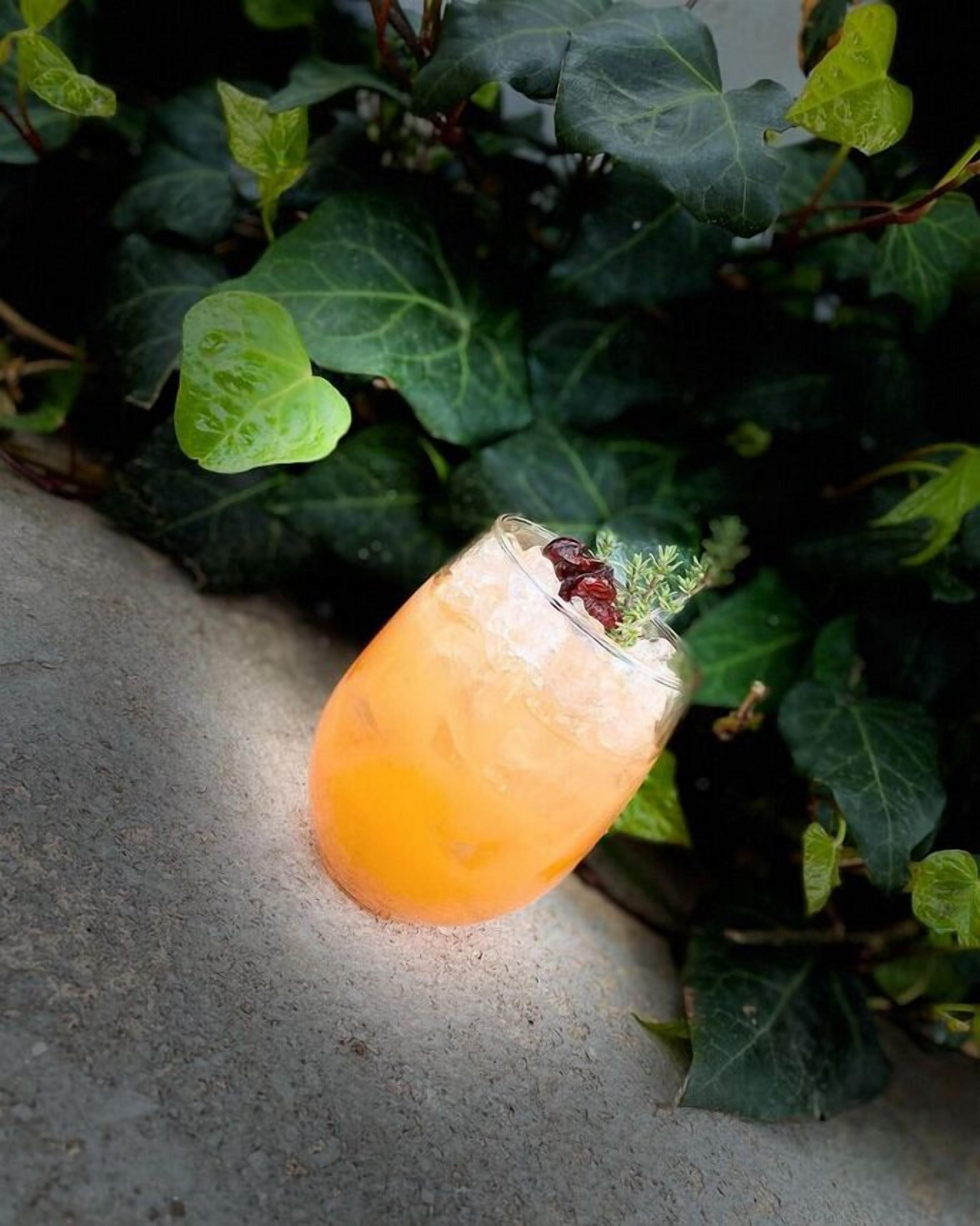 A glass of orange beverage with ice and a dried herb garnish on a concrete surface.