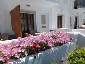 Terras