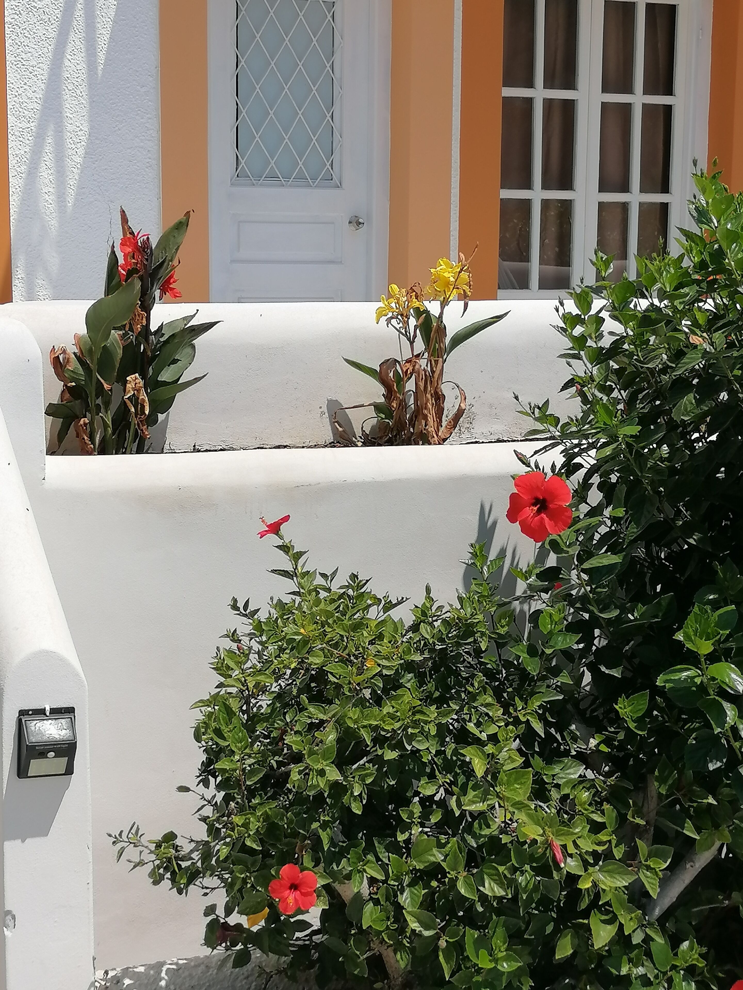 A white building with a door and windows, surrounded by green plants and flowers.
