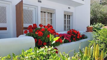 Suite estudio básica | Terraza o patio