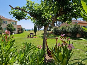 Property grounds - Semi-detached house T3, sleeps 4 to 6, sea view. (Poggio-Mezzana)