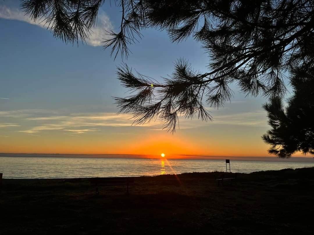 Eine Strandansicht mit Sonnenuntergang über dem Meer, einem Holzzaun und einem Baum im Vordergrund.