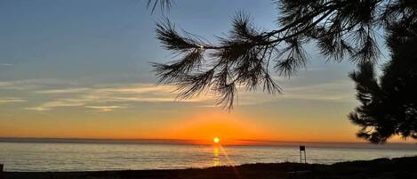 Eine Strandansicht mit Sonnenuntergang über dem Meer, einem Holzzaun und einem Baum im Vordergrund.