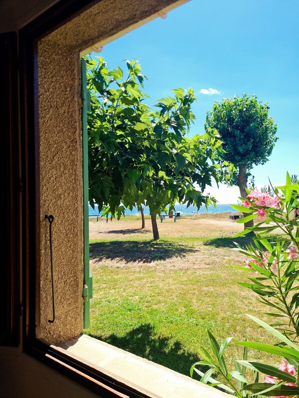 A window view of a grassy area with trees and a bench, indicating an outdoor space.