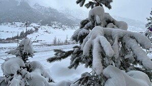 A snow-covered landscape with a prominent evergreen tree in the foreground. - 150m from ski slopes, Ground floor, fitness, swimming pool, balcony, tv, ski locker, 38m², Val Cenis (Lanslebourg-Mont-Cenis)