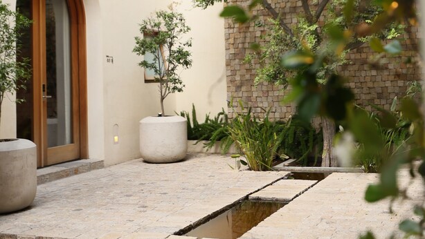 Un patio con un sendero de piedra, una puerta de madera y plantas en macetas.