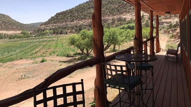 Eine Holzdielen-Terrasse mit Tisch und Stühlen mit Blick auf einen Weinberg und eine hügelige Landschaft.