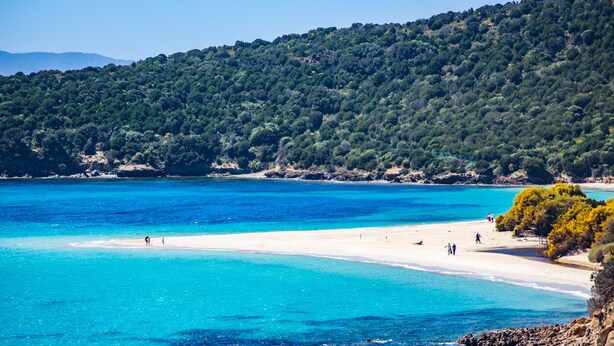 A coastal beach with clear turquoise waters, a sandy shore, and a forested hillside in the background. - Villetta I Pini Azzurri, with large garden and private tennis court (Sardegna)