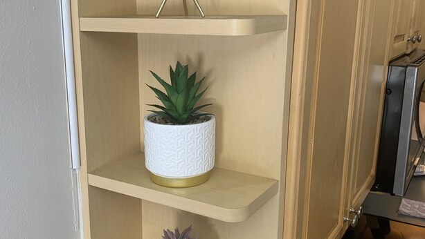 Ein Holzregal mit drei weißen Töpfen, in denen Sukkulenten stehen.
