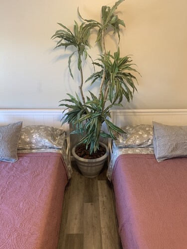 Spacious 3-bed townhouse, walk to Atlantic Ave