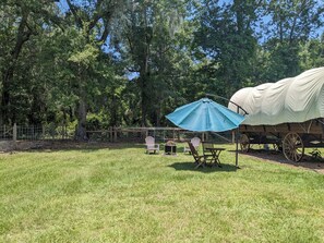 Exterior - Rooterville Animal Sanctuary (Melrose)