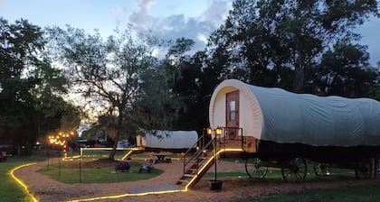 Rooterville Animal Sanctuary