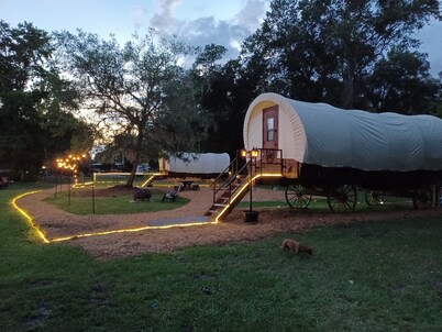 Rooterville Animal Sanctuary