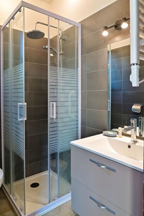 Douche, séchoir à cheveux, papier de toilette