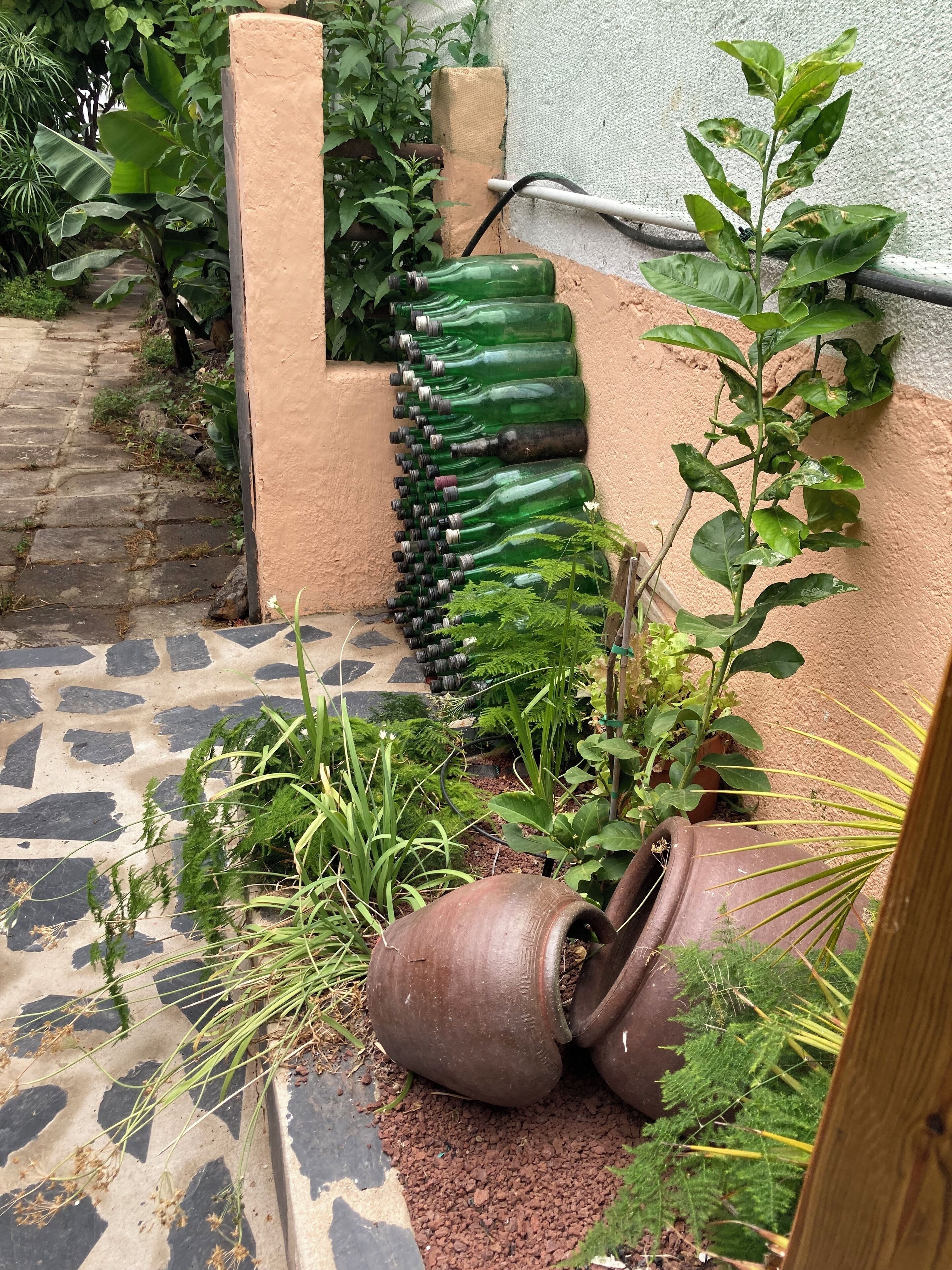 Foto - Gato Azul - Coliving
