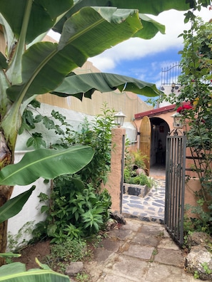 Garden - Gato Azul Coliving (La Orotava)