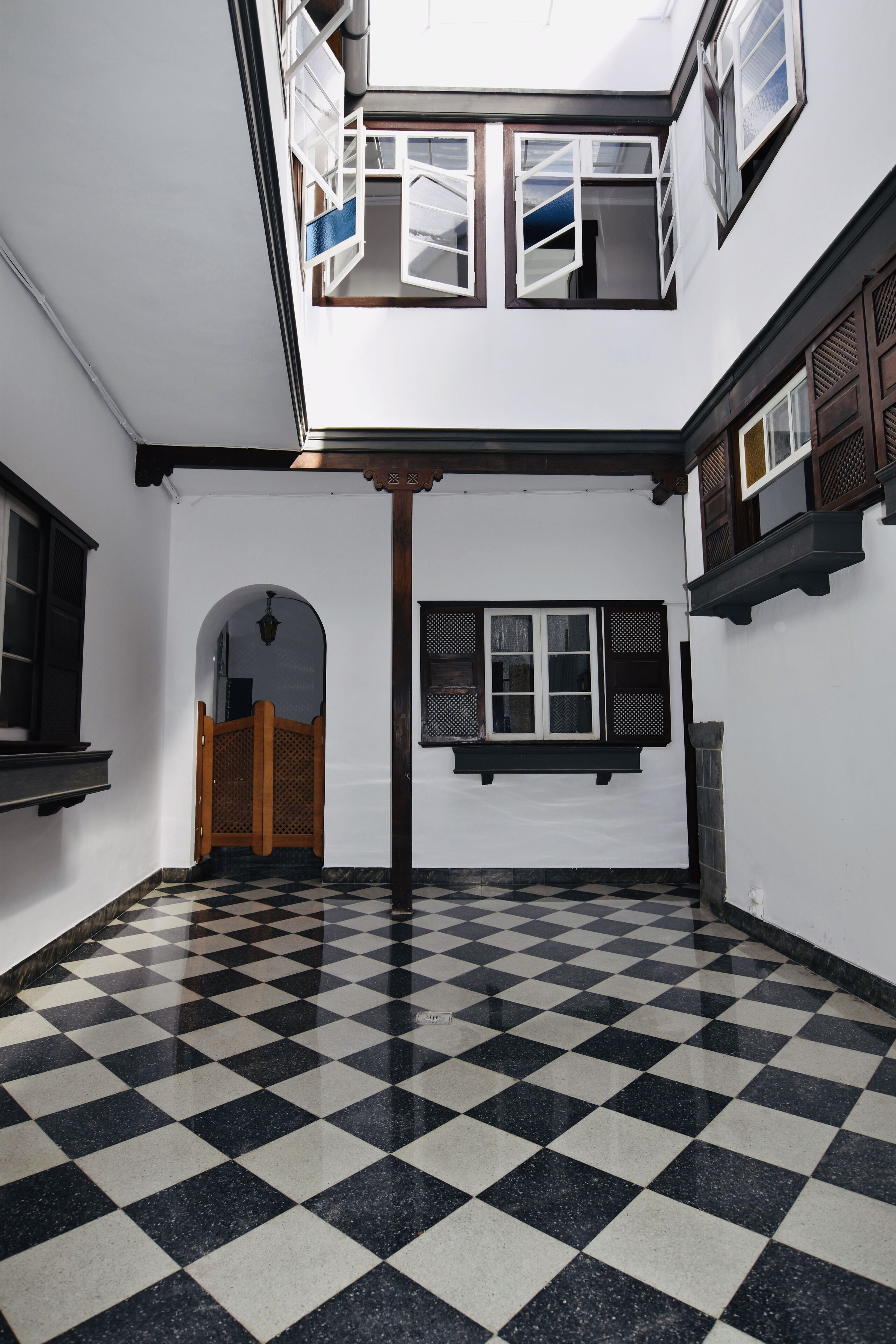 Foto - Gato Azul - Coliving