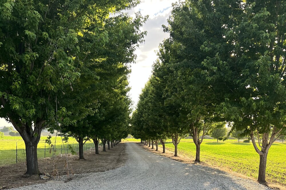 Beautiful Country & Ranch setting with room to relax