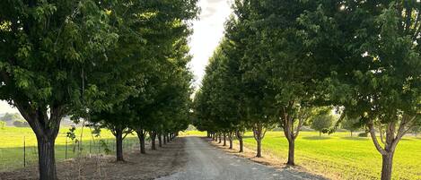 Área da propriedade