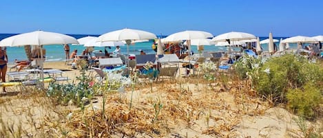 Una spiaggia nelle vicinanze