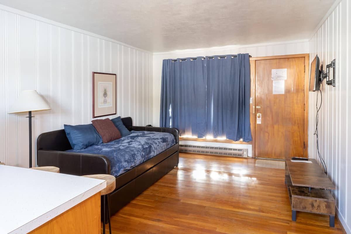 Apartment, 1 Bedroom, Non Smoking (1 King Bed with Sofabed)
