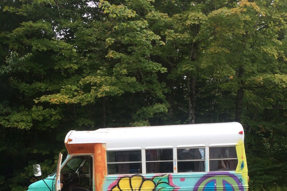 Vintage Groove Bird Bus