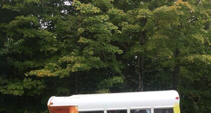 Vintage Groove Bird Bus