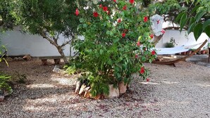 Un jardín con una planta en maceta y una hamaca.