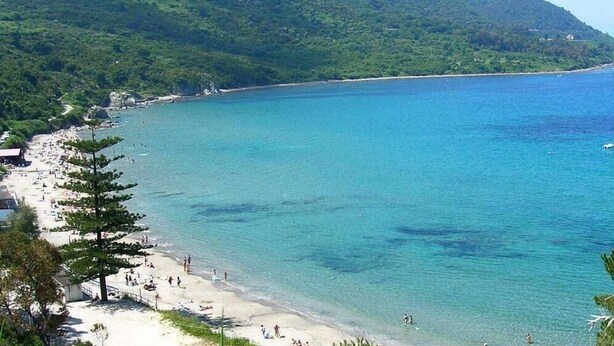 Une plage à l’eau turquoise et limpide, avec un rivage sablonneux et une colline boisée en arrière-plan.