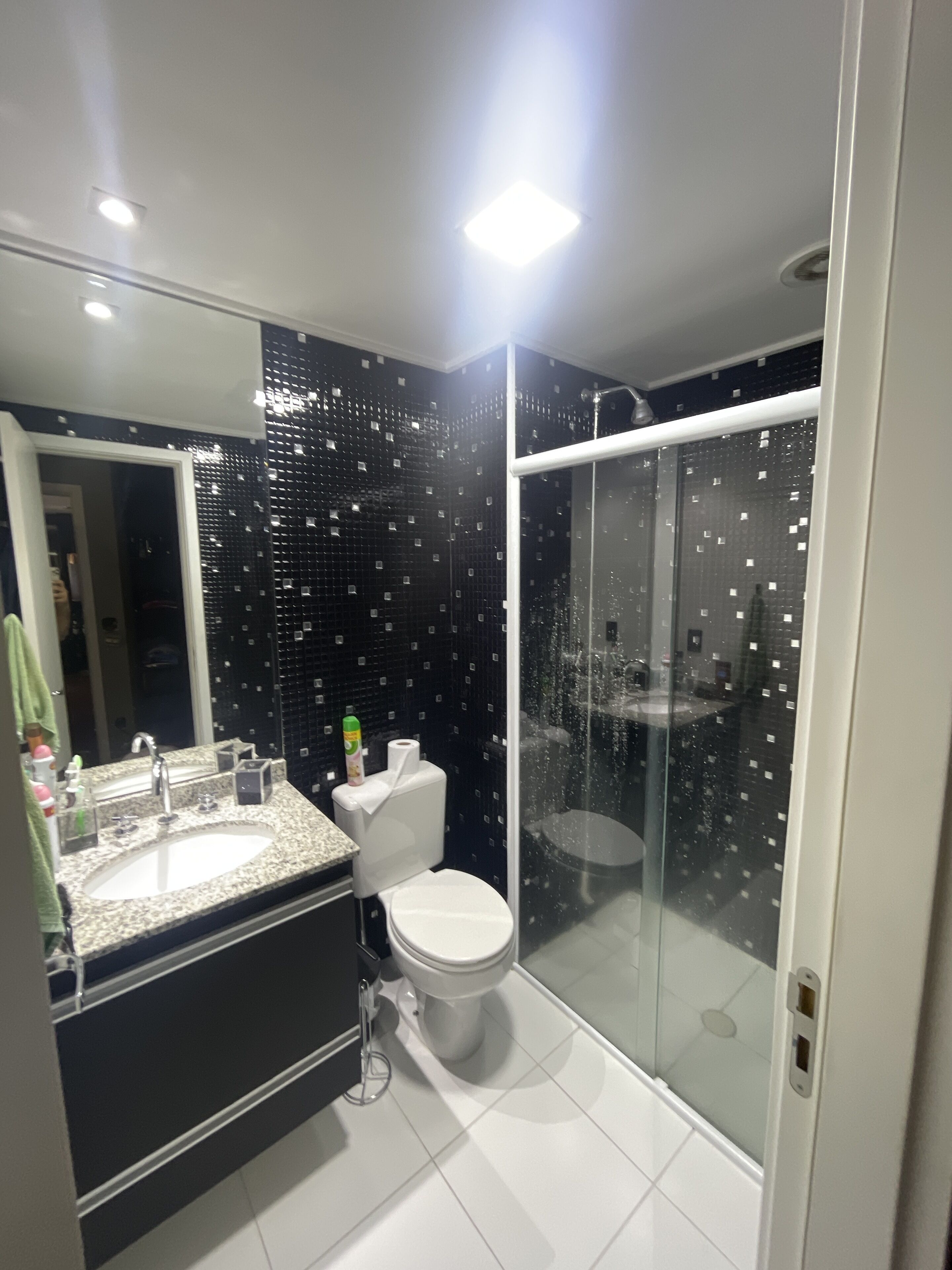 Large apartment with barbecue on the balcony