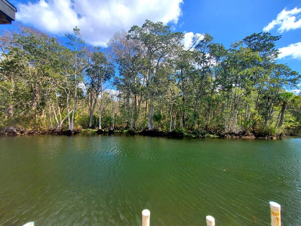 A calm river surrounded by dense trees and a clear sky. - Time Well Wasted Weeki Star5vacations (Spring Hill)