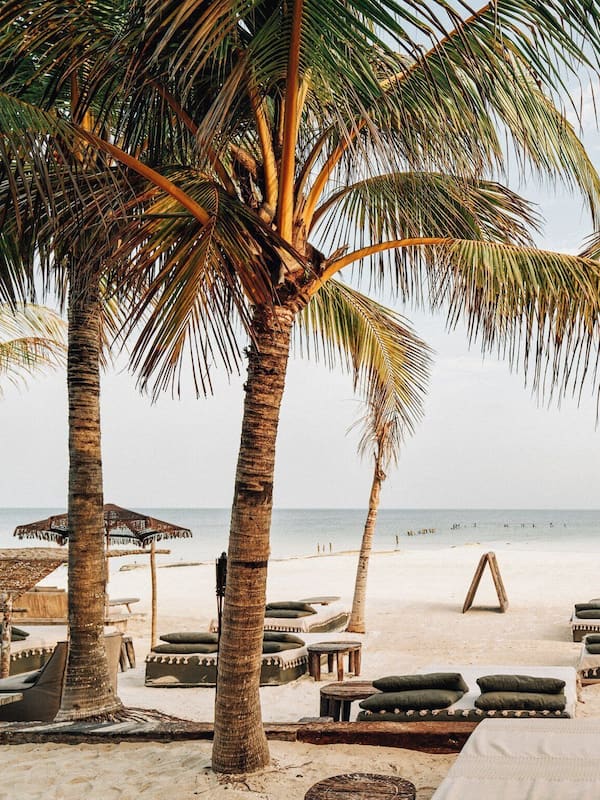 Bar de plage