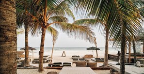 Beach bar - Nômade Temple Holbox (Isla Holbox)