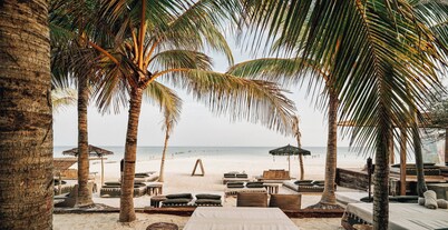 Nomade Holbox