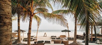 Nomade Holbox