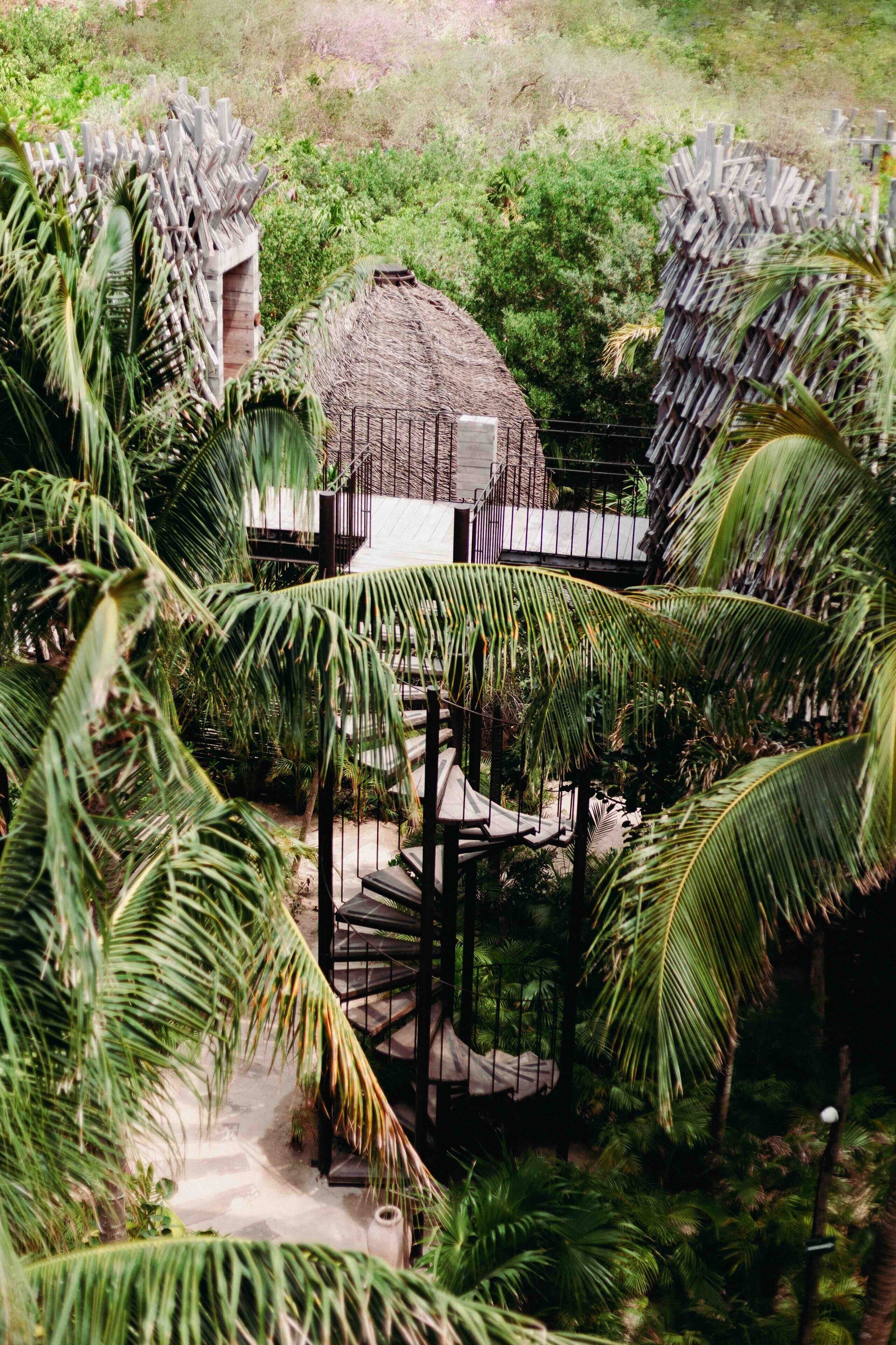 Casa de árbol (Jungle) | Detalle exterior
