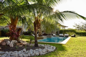 A pool area with a palm tree, rocks, and a grassy lawn.