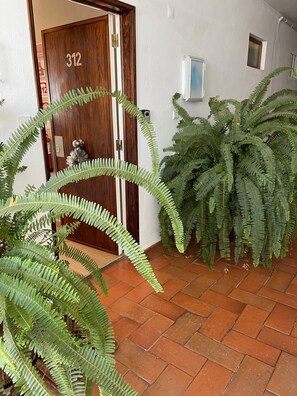 A wooden door with the number 312, a tiled floor, and large green ferns.