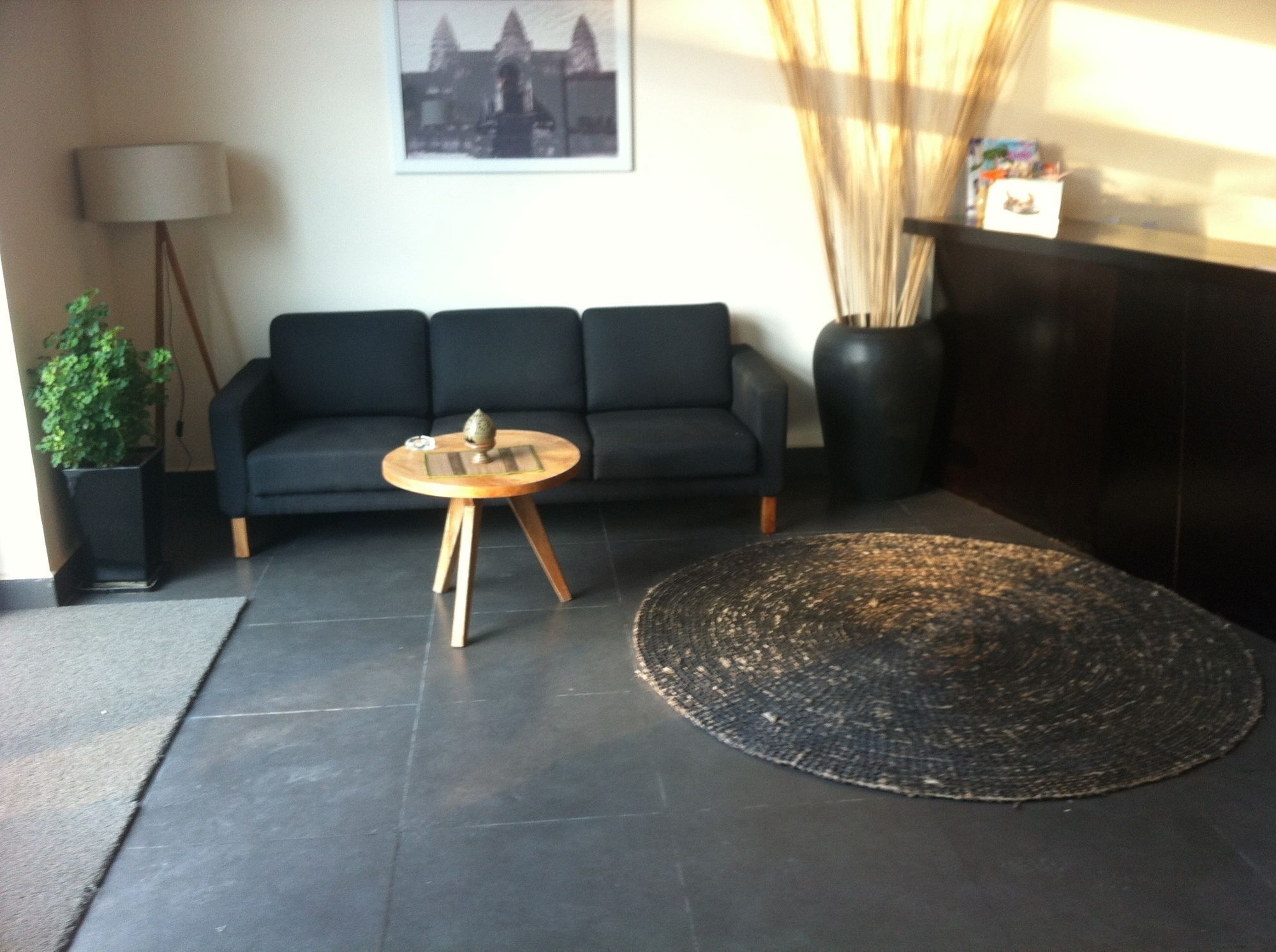 A modern living room with a dark sofa, a round wooden coffee table, a woven rug, a potted plant, and a framed picture on the wall.