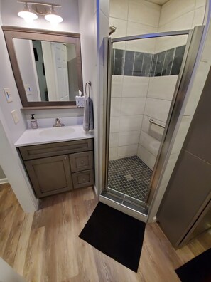 Shower, hair dryer, towels, soap - Beautiful new Lake Erie- view rental (Hamburg)