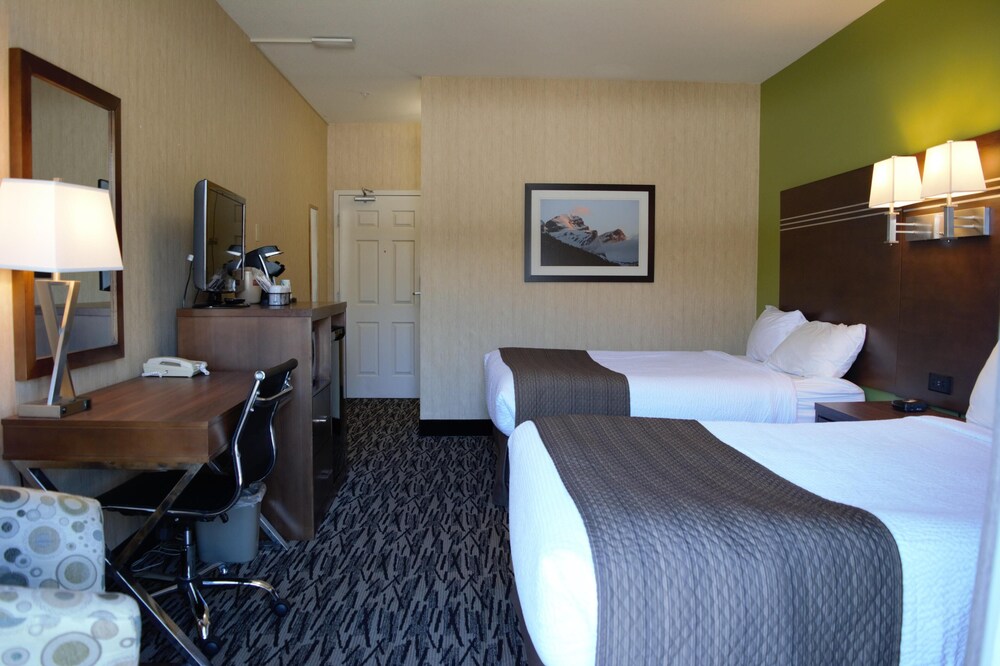 Standard 2 Queen Bed- Pet Friendly