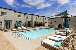 Outdoor pool, pool umbrellas, pool loungers - Sophia (Scottsdale)