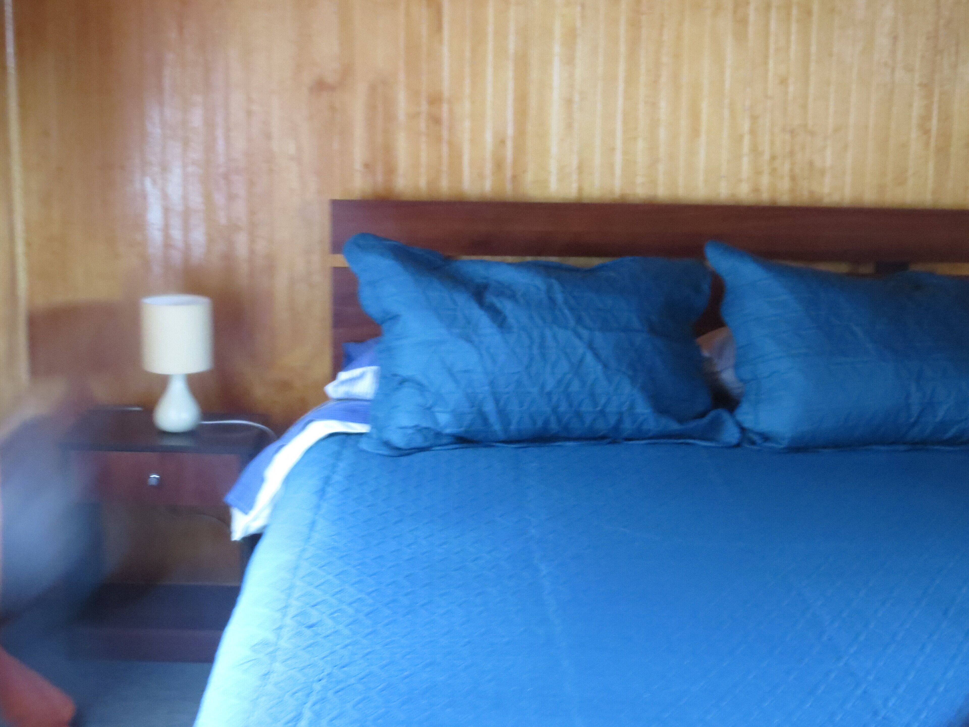 Neltume huilo huilo Chile