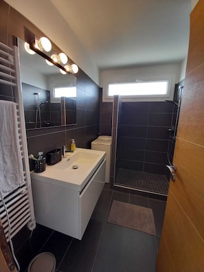 Shower, hair dryer, towels, soap