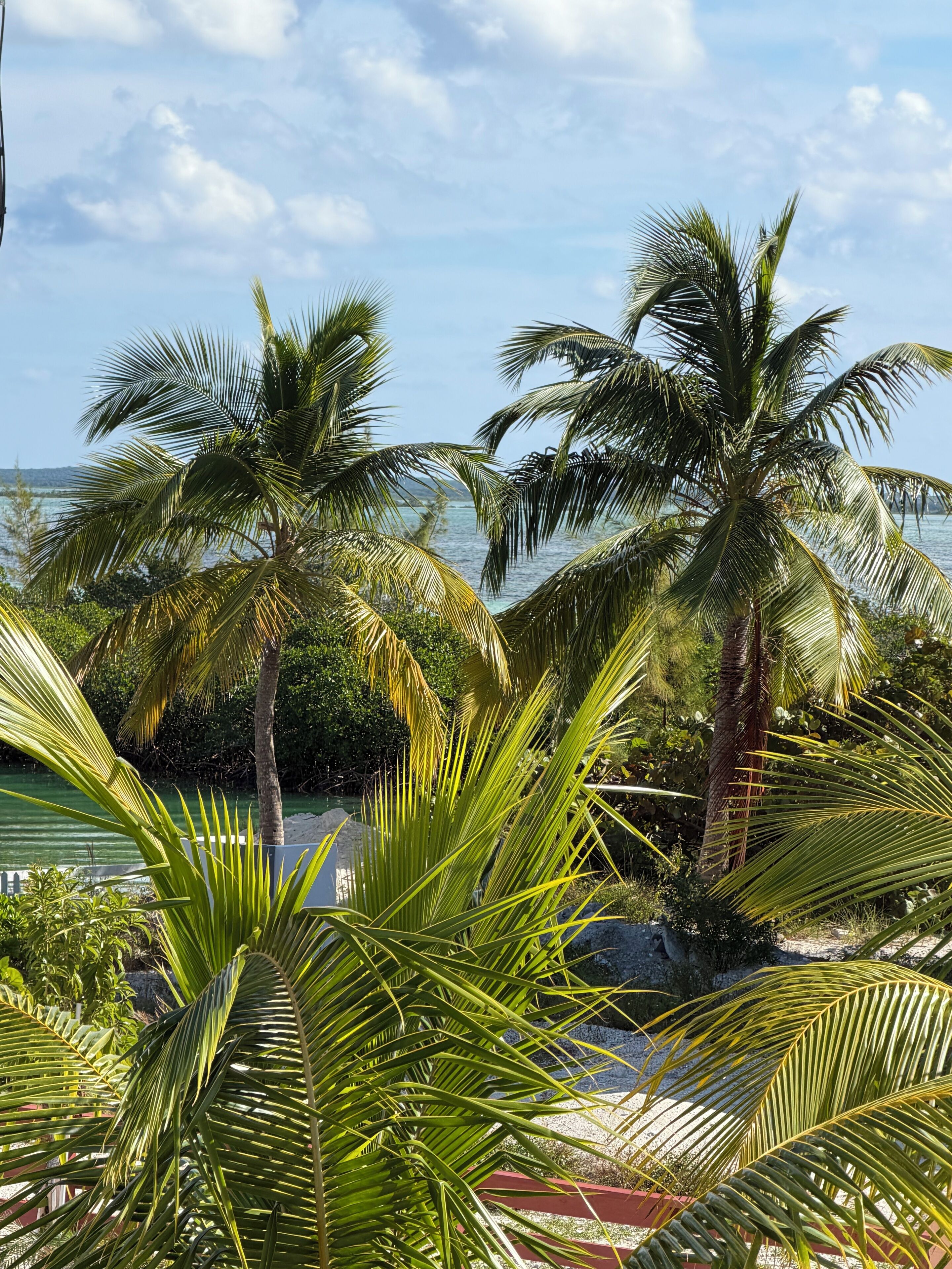 Àrea exterior de l'allotjament