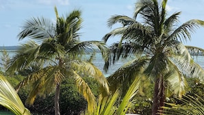 A tropical resort with palm trees and a view of the ocean.