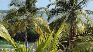 Àrea exterior de l'allotjament