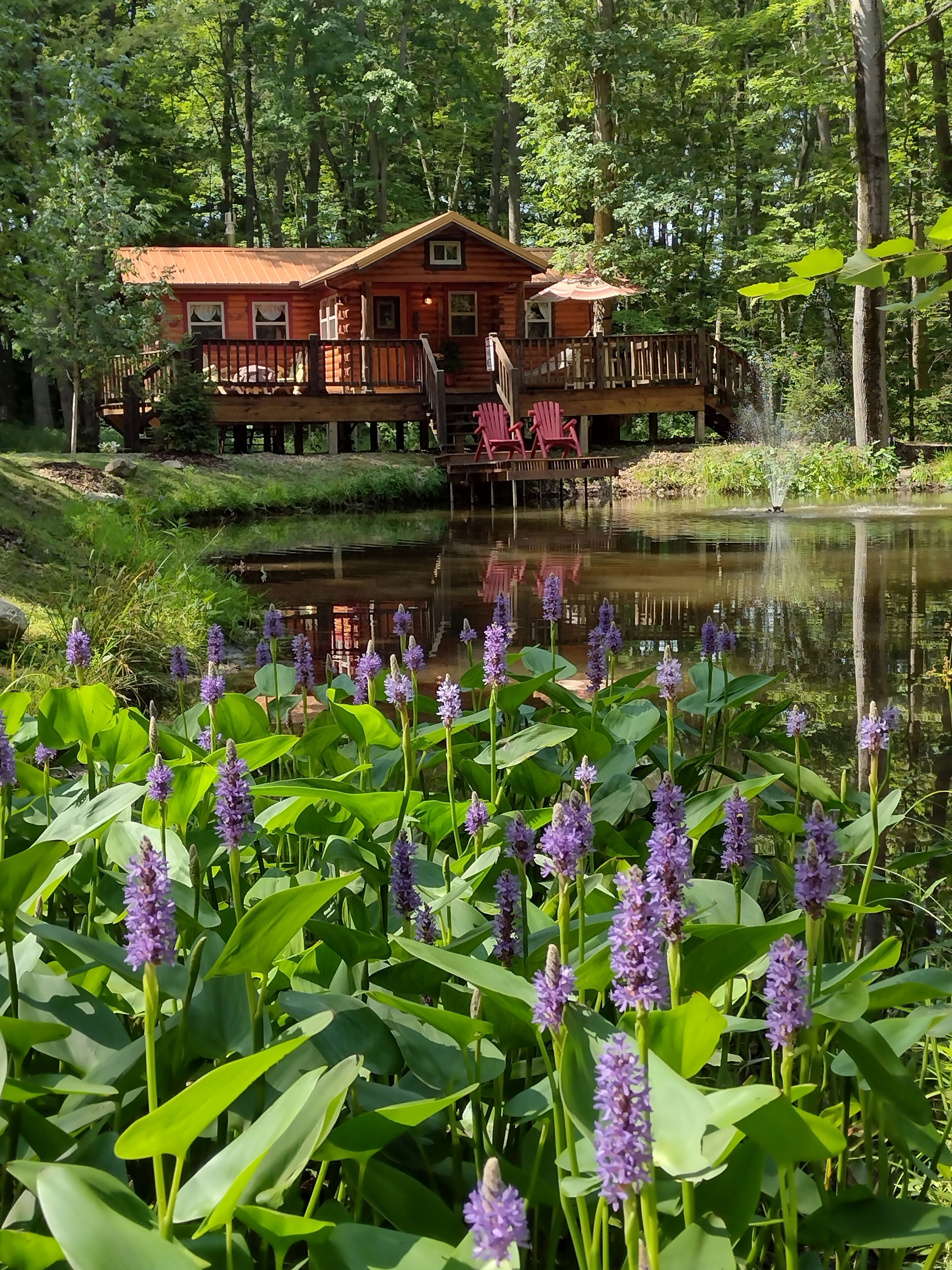 Romantic Secluded Cabin Getaway with Outdoor Bath